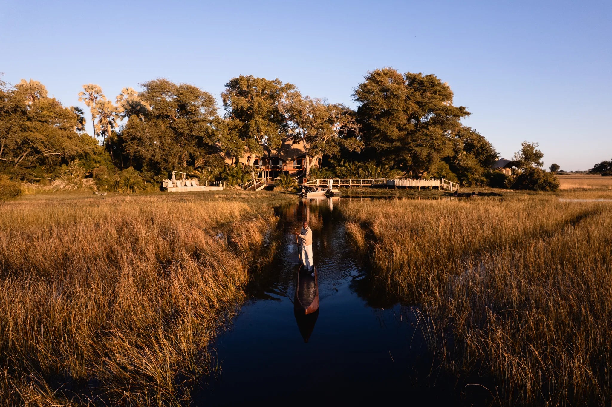 Wilderness Jacana at Jacana, Okavango Delta, Botswana.