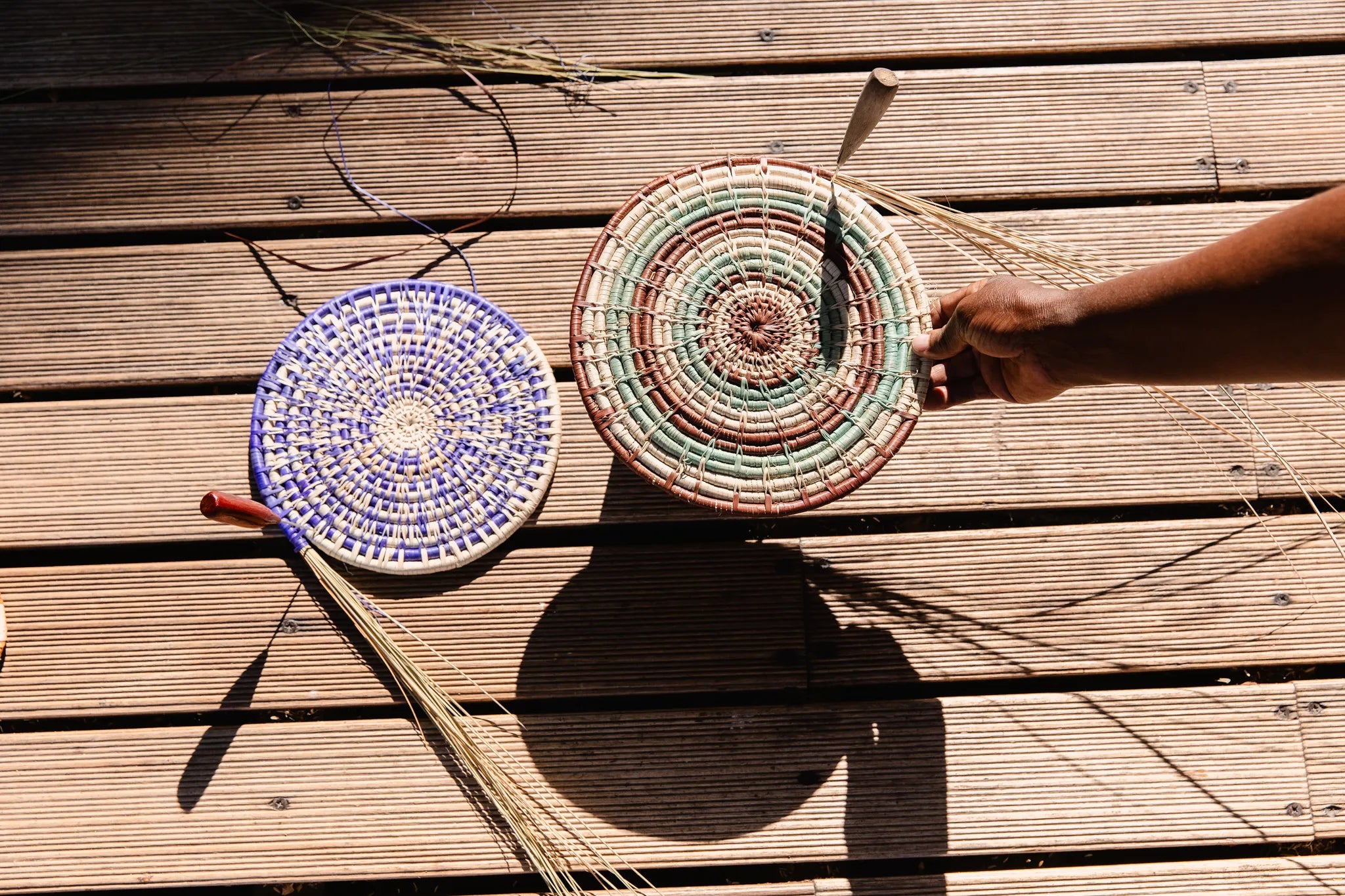 Wilderness Jacana at Jacana, Okavango Delta, Botswana.