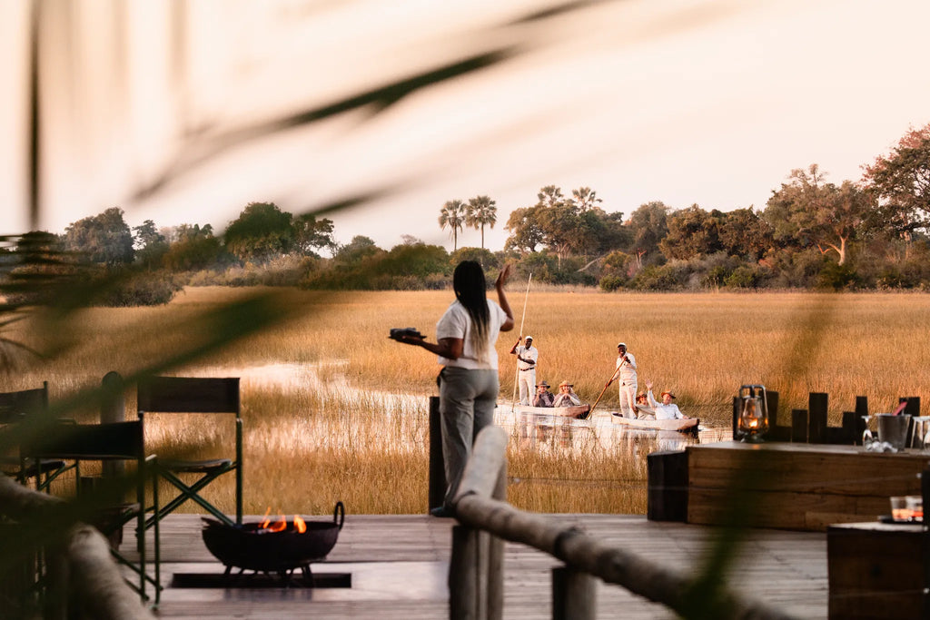 Wilderness Jacana at Jacana, Okavango Delta, Botswana.