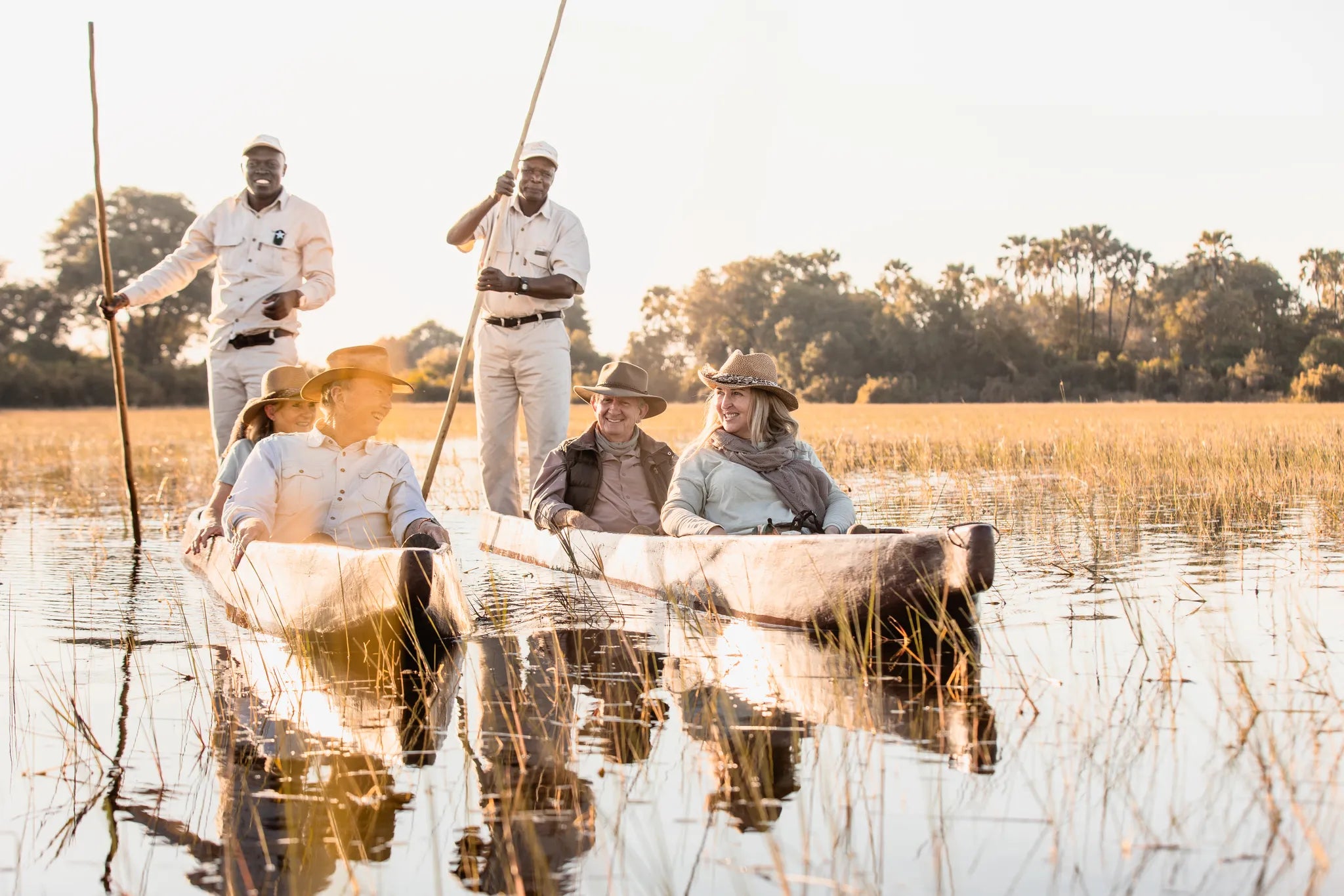 Wilderness Jacana at Jacana, Okavango Delta, Botswana.