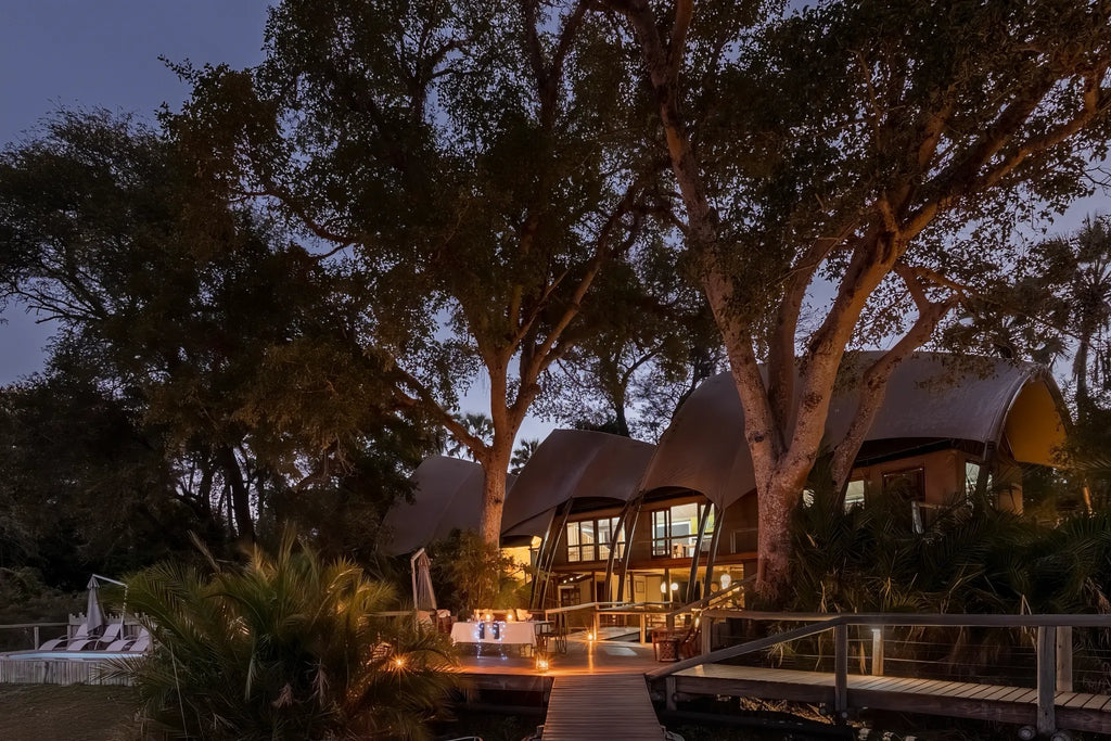 Wilderness Jacana at Jacana, Okavango Delta, Botswana.