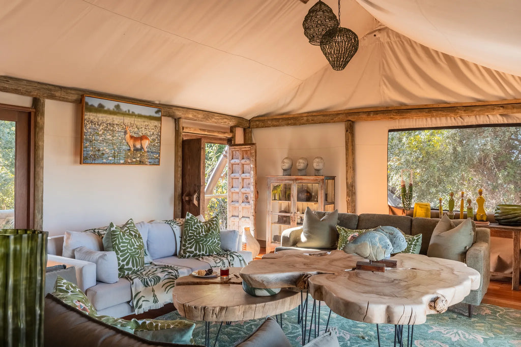 Wilderness Jacana at Jacana, Okavango Delta, Botswana.
