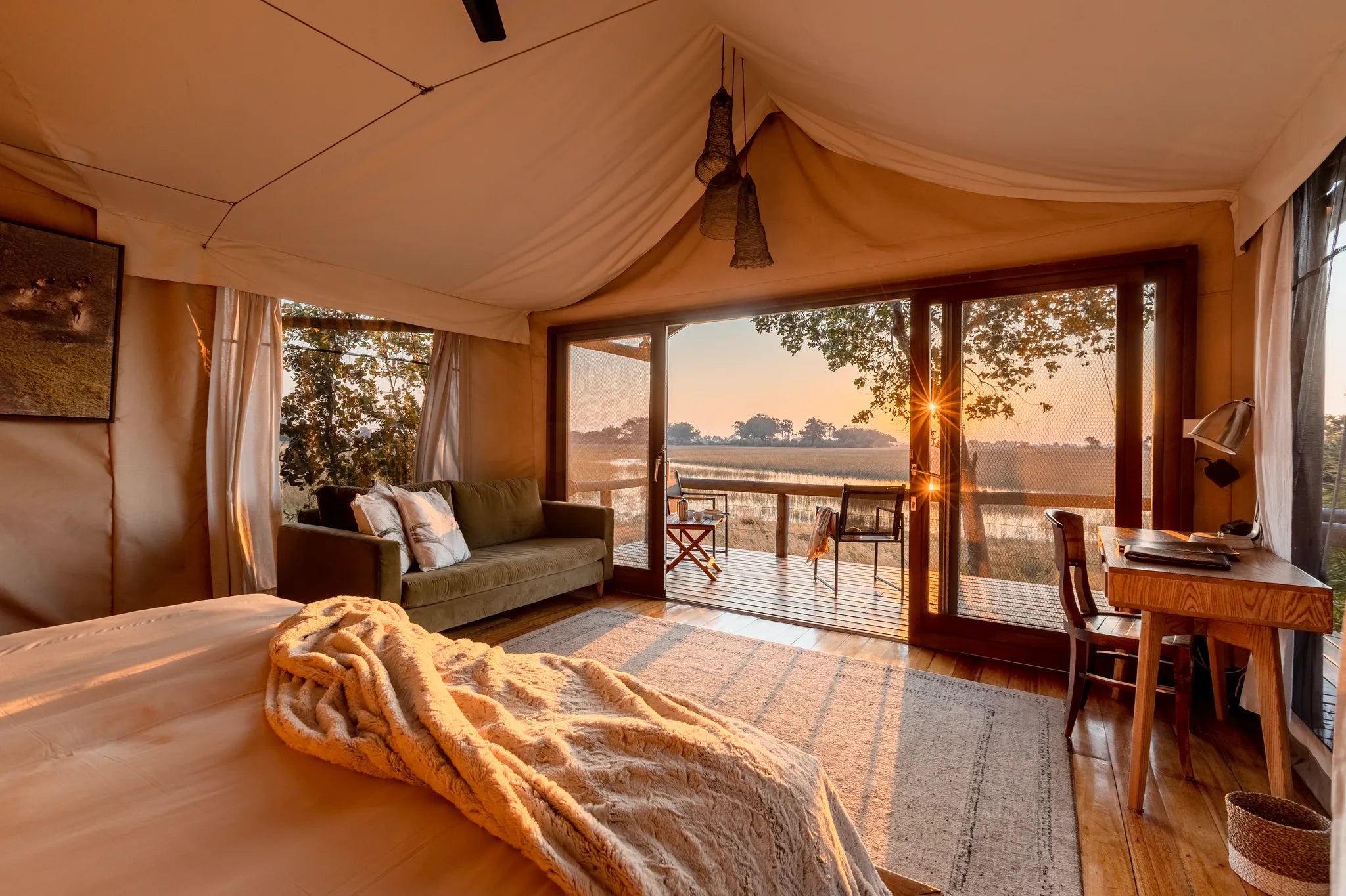 Wilderness Jacana at Jacana, Okavango Delta, Botswana.
