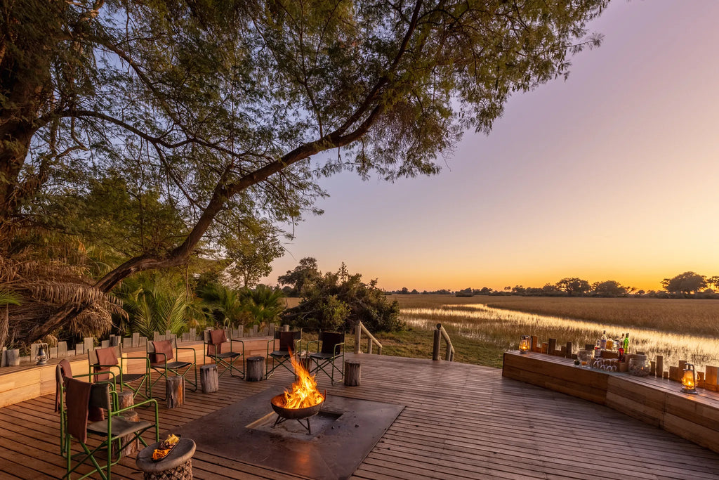 Wilderness Jacana at Jacana, Okavango Delta, Botswana.
