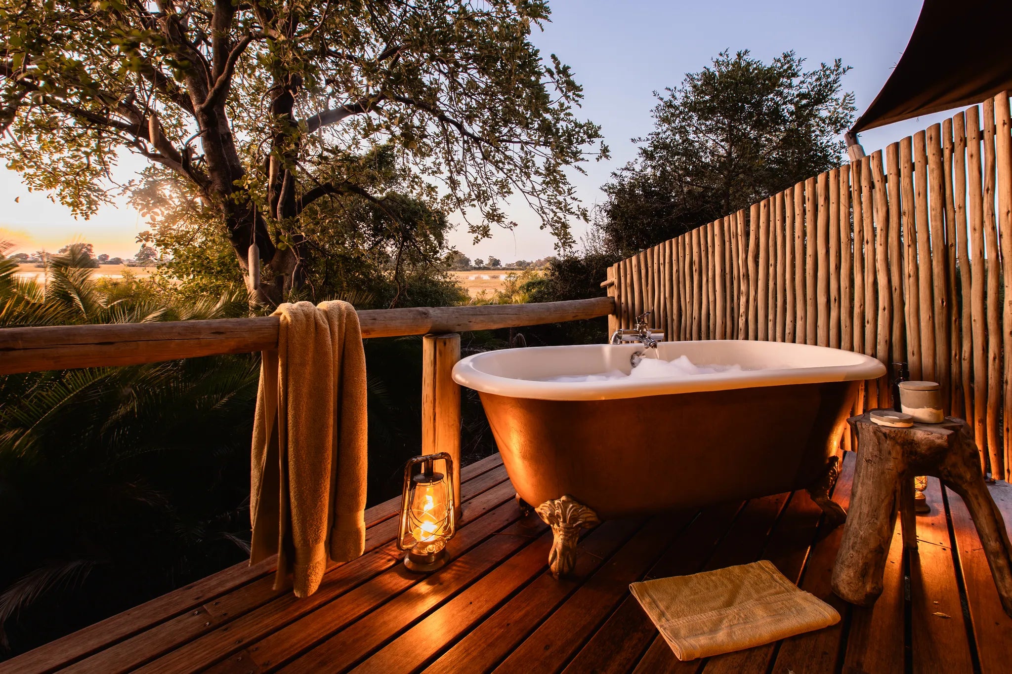 Wilderness Jacana at Jacana, Okavango Delta, Botswana.