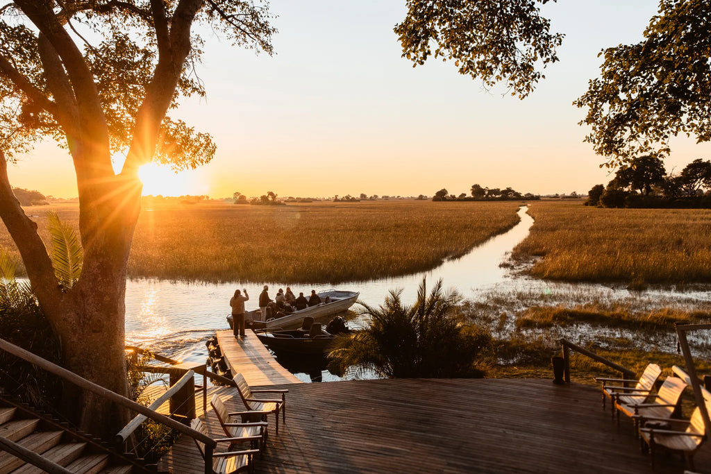 Wilderness Jacana at Jacana, Okavango Delta, Botswana.