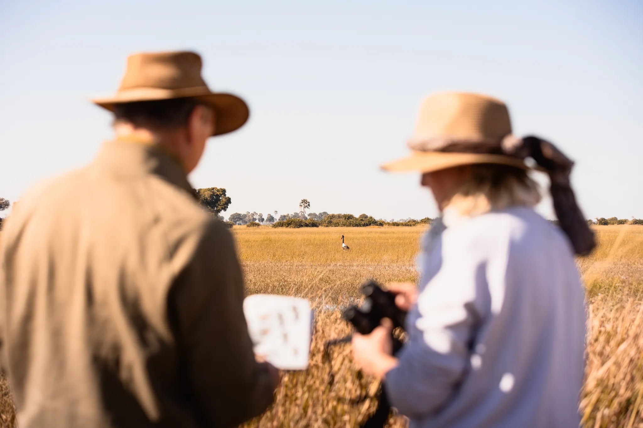 Wilderness Jao at Jao, Okavango Delta, Botswana.
