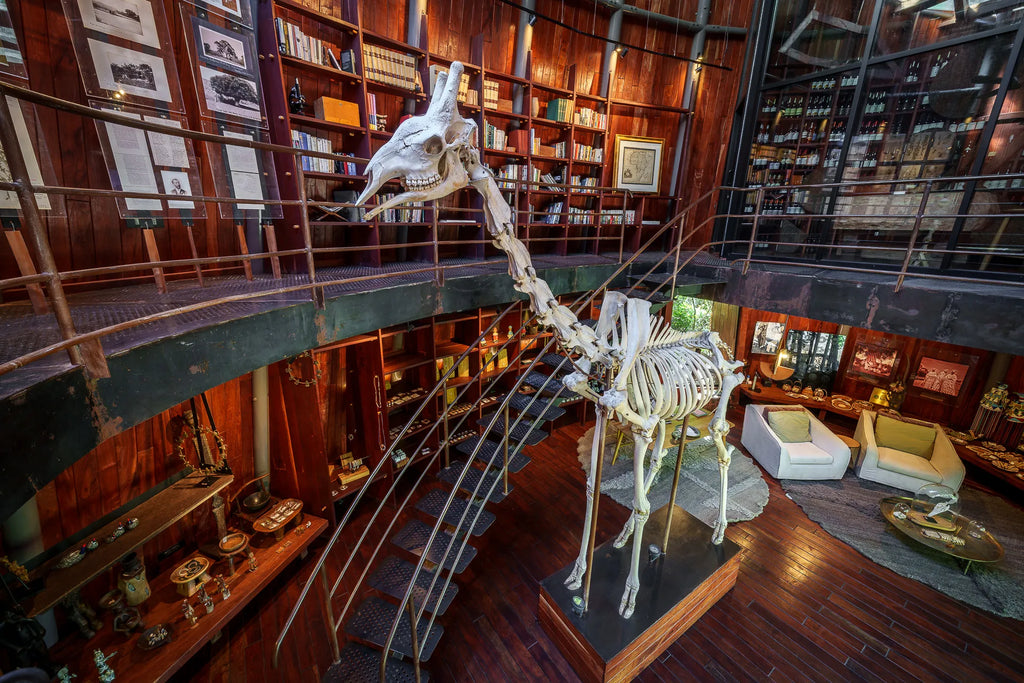 Wilderness Jao at Jao, Okavango Delta, Botswana.