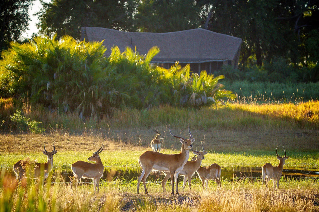 Room gallery image 3.