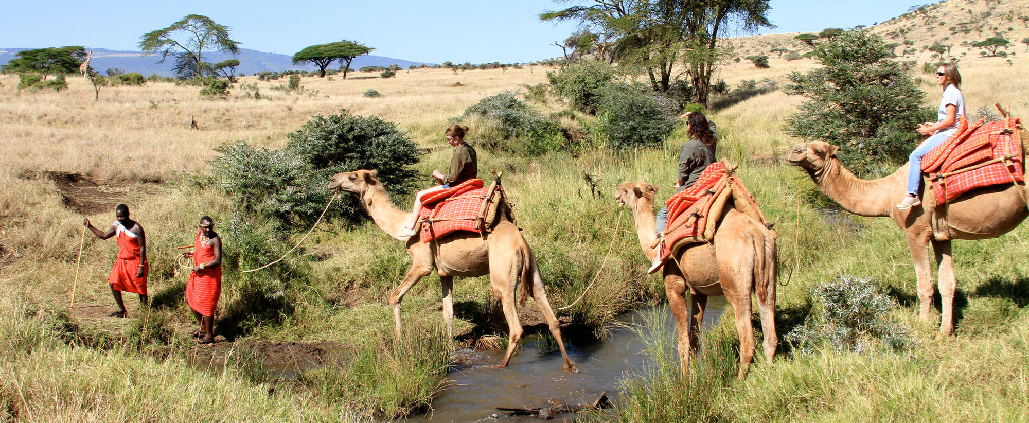 Camel and Horseback Safaris gallery image 2