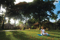 Yoga, Meditation and Taichi gallery image 1