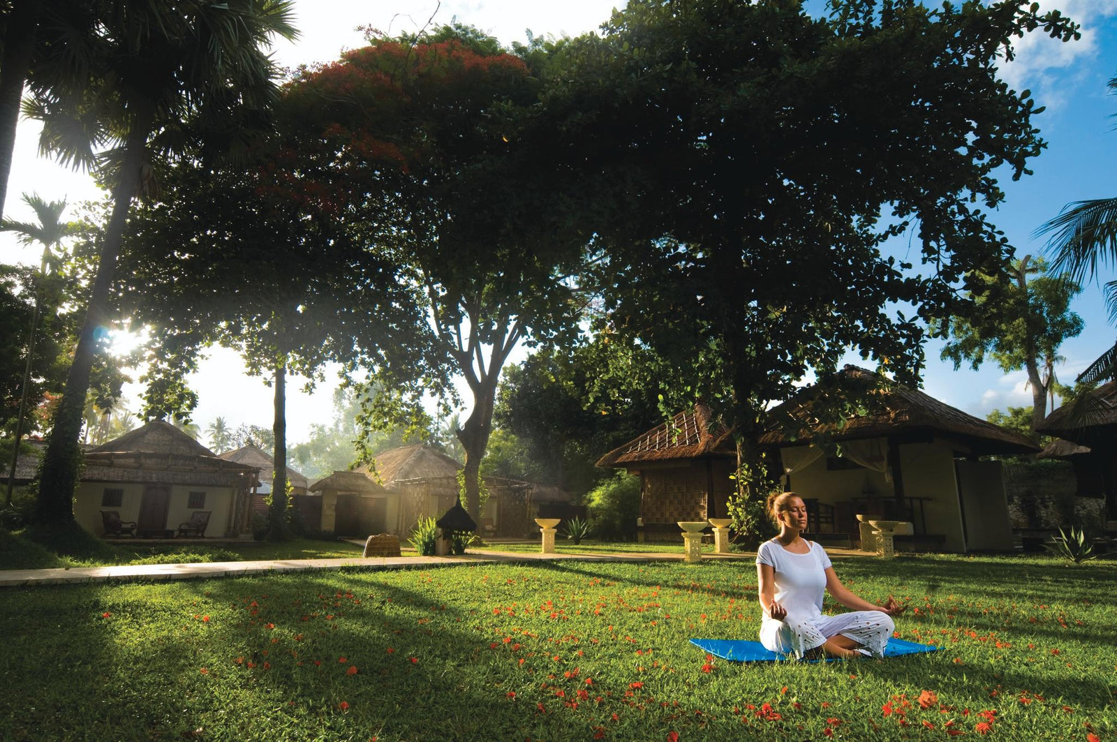 Yoga, Meditation and Taichi
