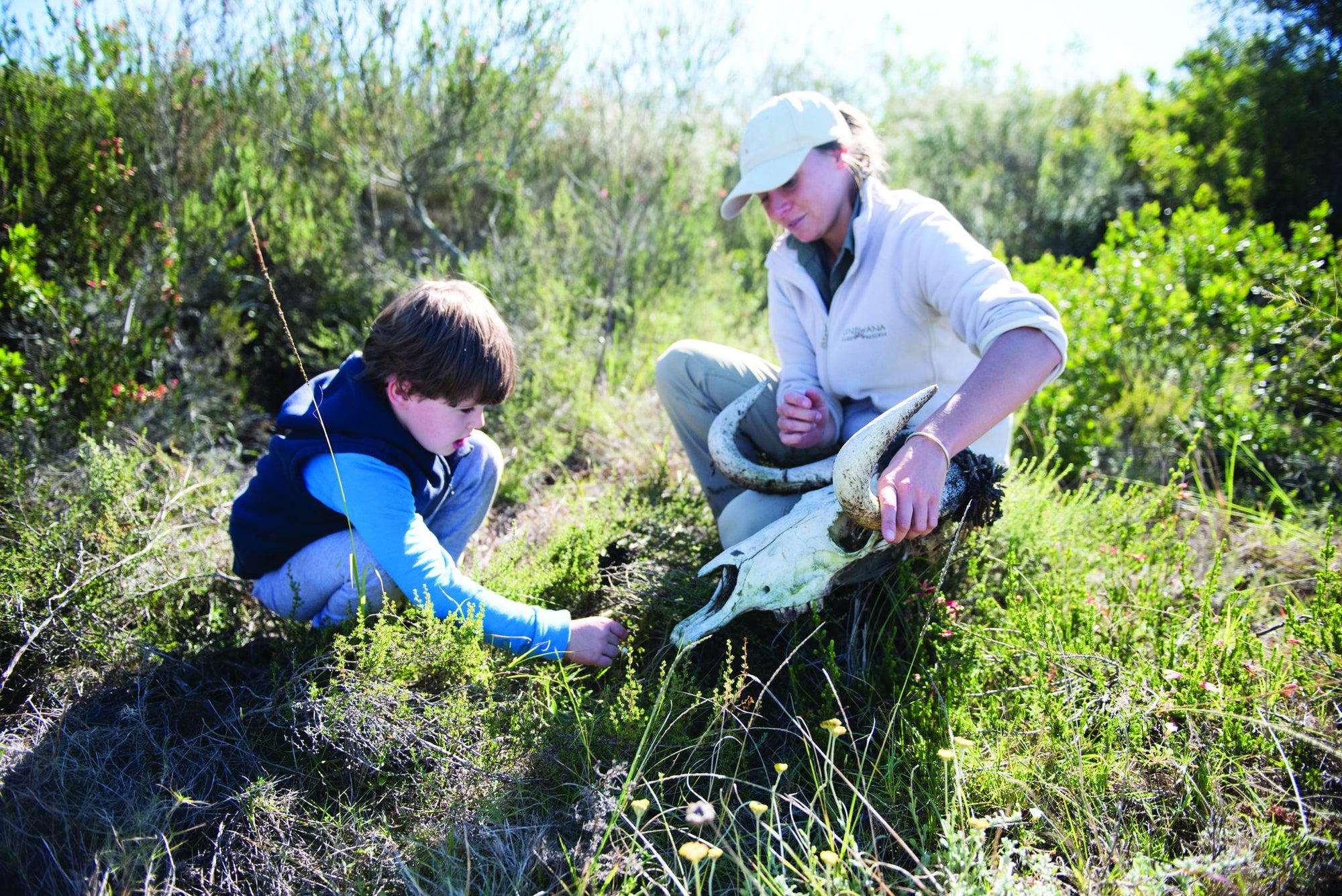 Junior Ranger Programme gallery image 2