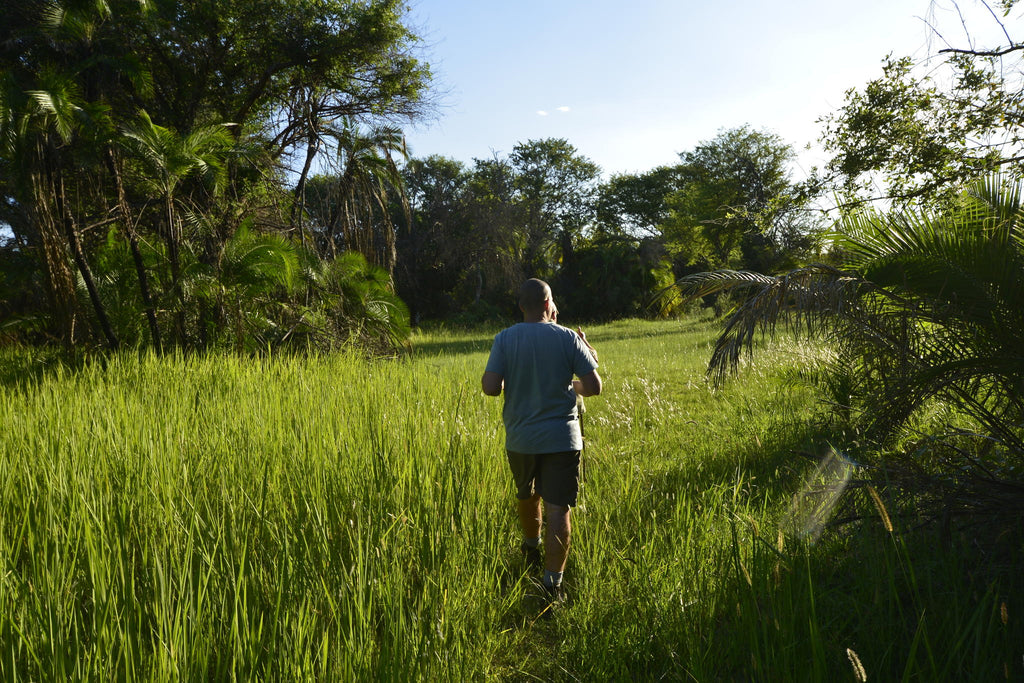 Guided Bush walks gallery image 8
