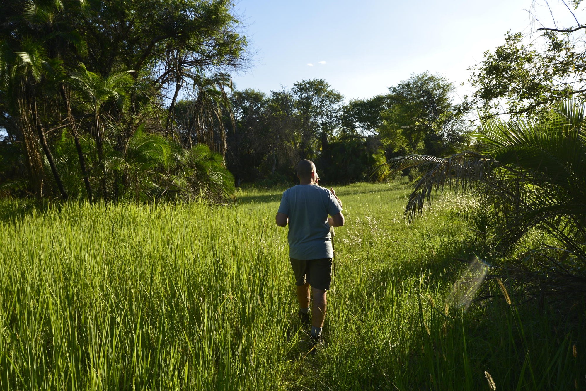 Guided Bush walks gallery image 8