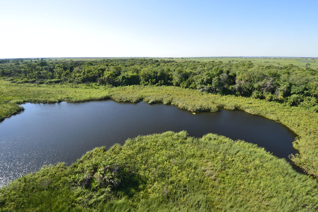 Boat safaris gallery image 18
