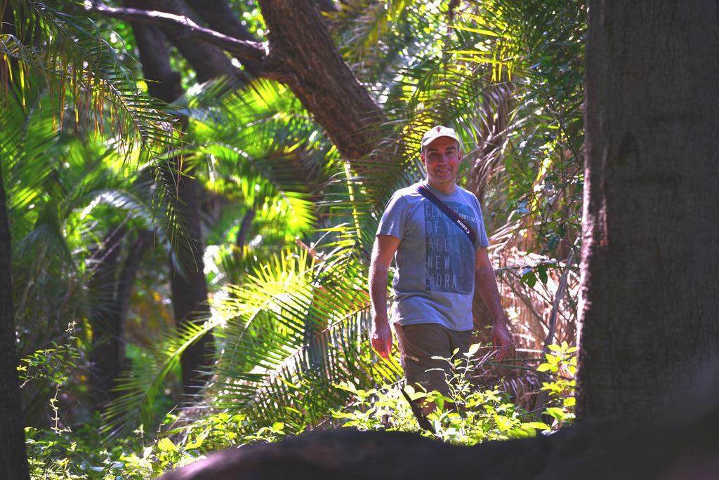 Guided Bush walks gallery image 12