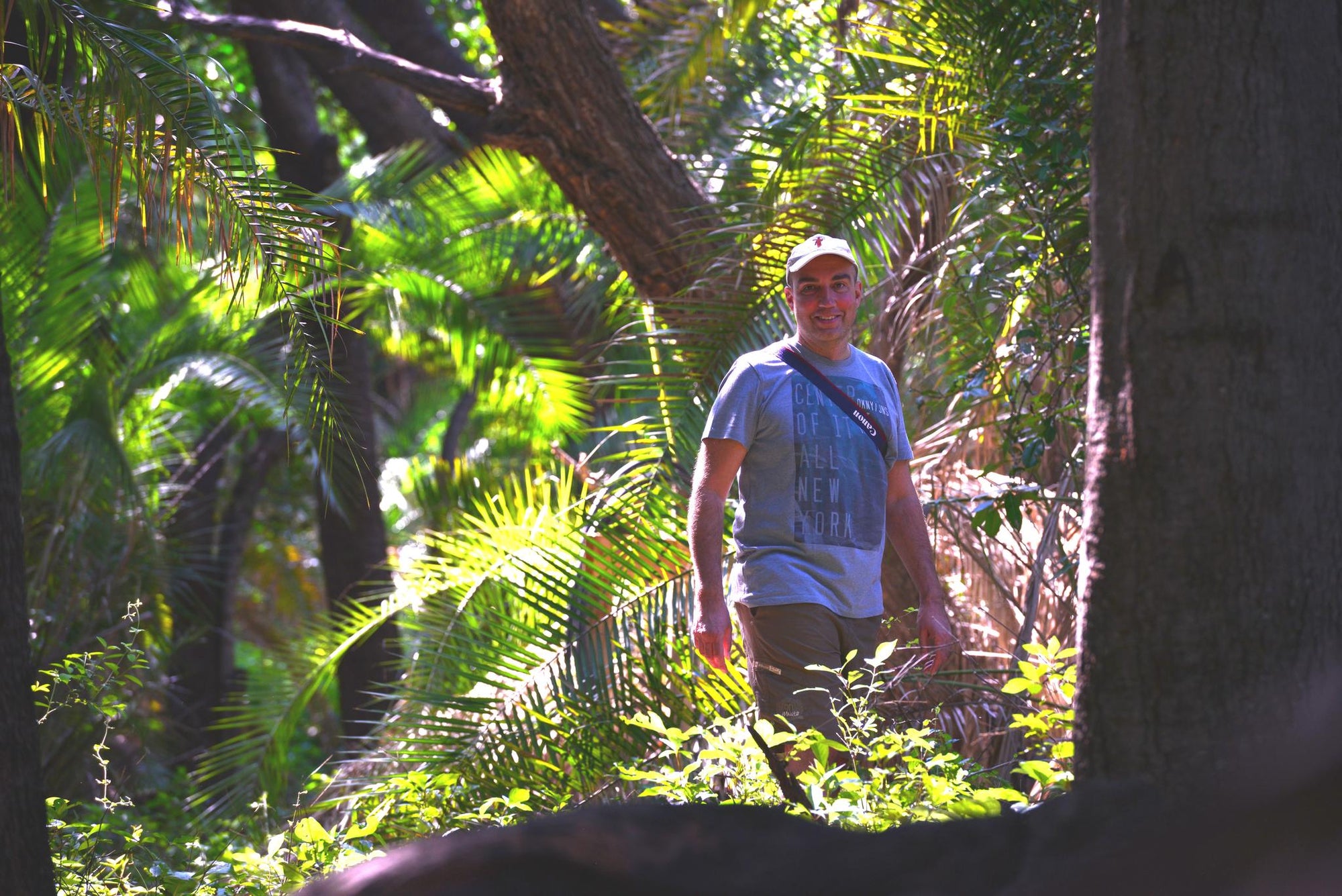 Guided Bush walks gallery image 12