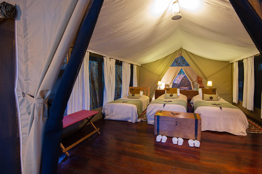 Luxury tent gallery image 3