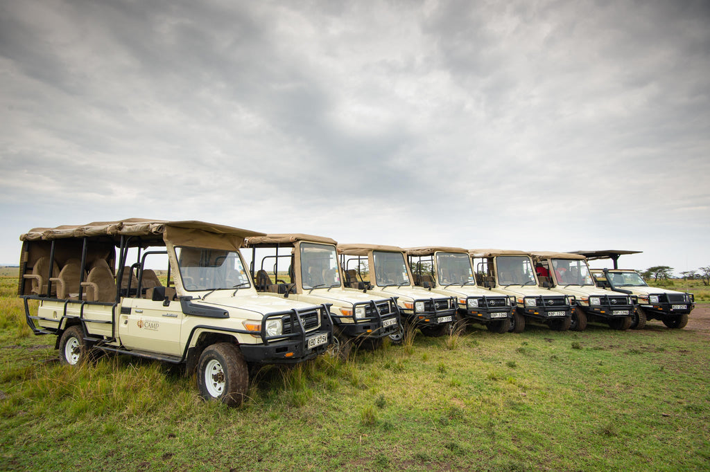 Game drives gallery image 1