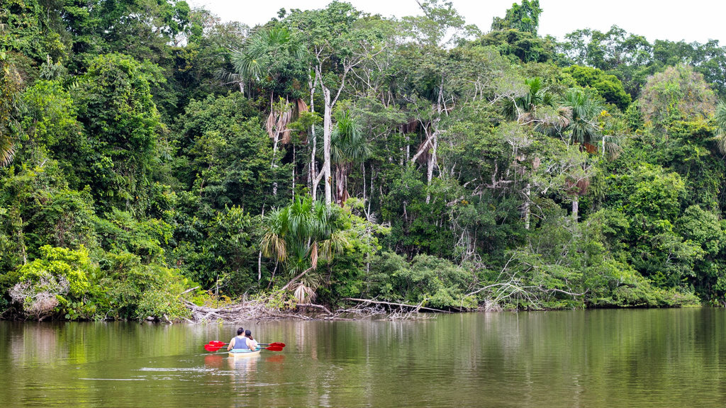 Kayaking
