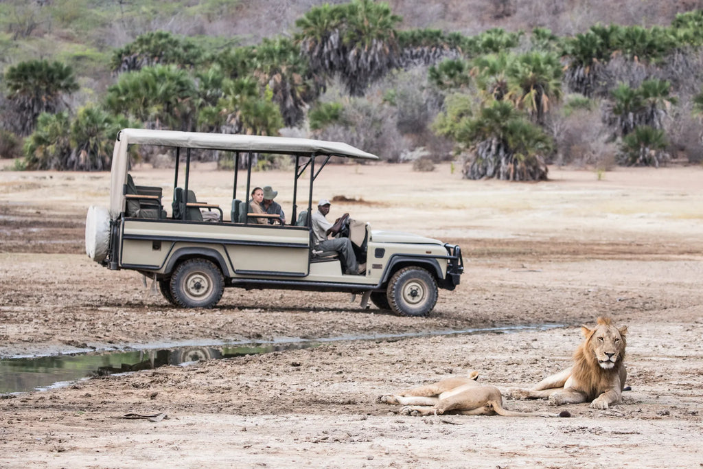 Game drives at Kiba Point Selous, Nyerere National Park, Tanzania.