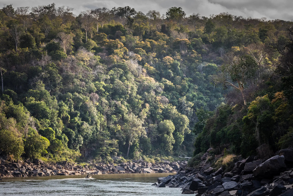 Stieglers Gorge at Kiba Point Selous, Nyerere National Park, Tanzania.