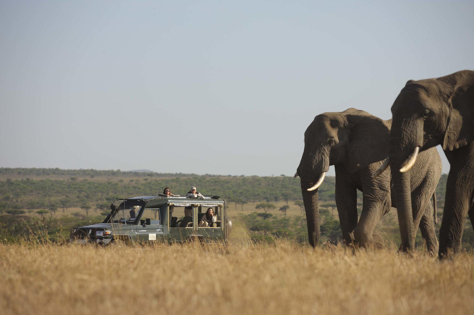 Game drives