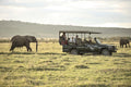 Private Vehicle (Additional cost) gallery image 1