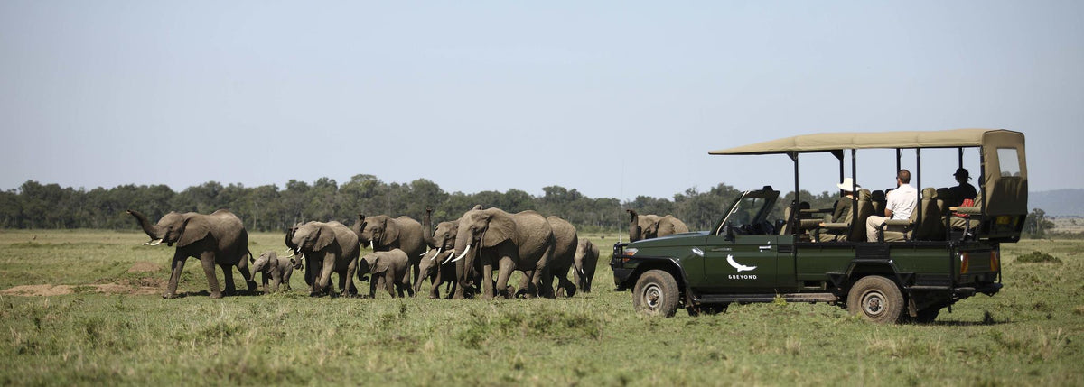 Game Drives (Included)