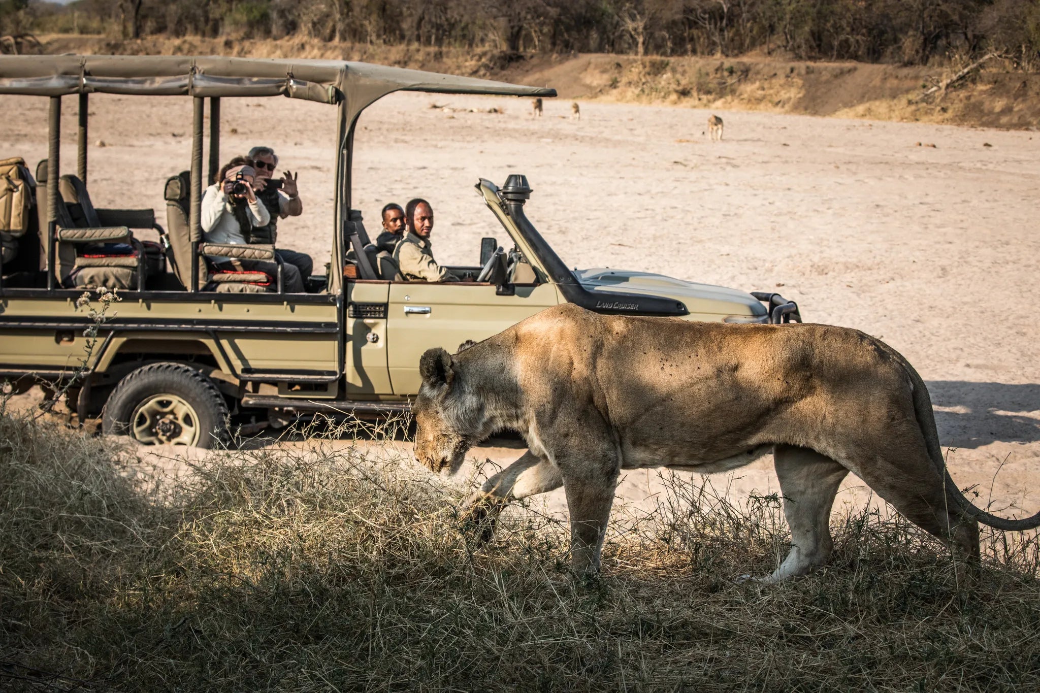 Game drive at Kigelia Ruaha, Ruaha National Park, Tanzania.