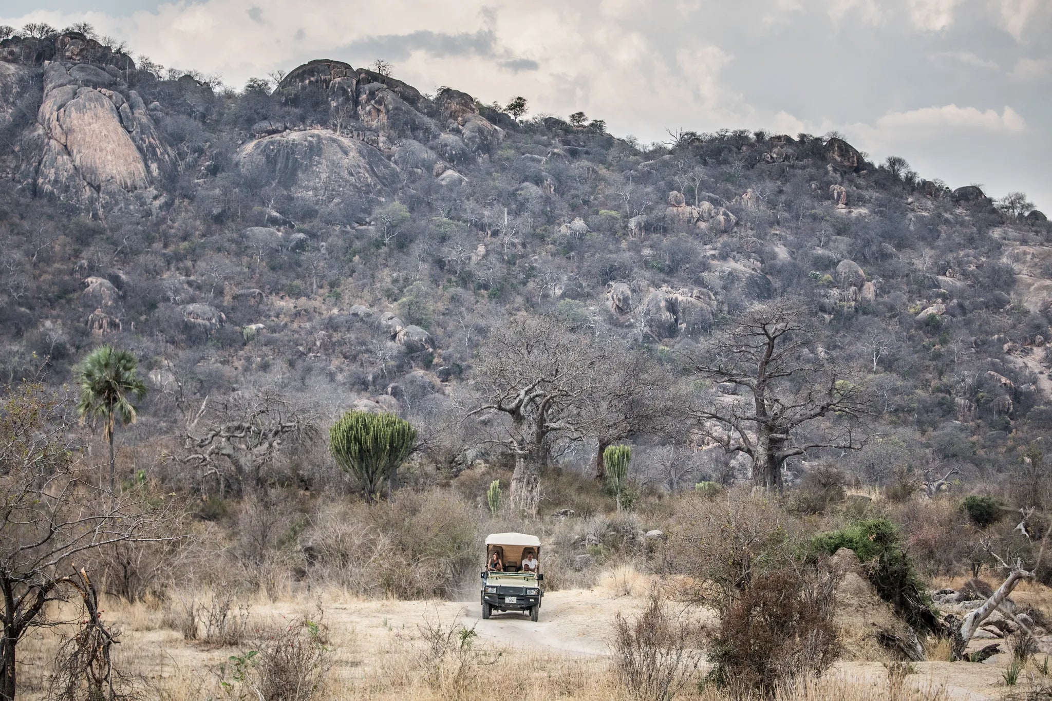 Game drives at Kigelia Ruaha, Ruaha National Park, Tanzania.