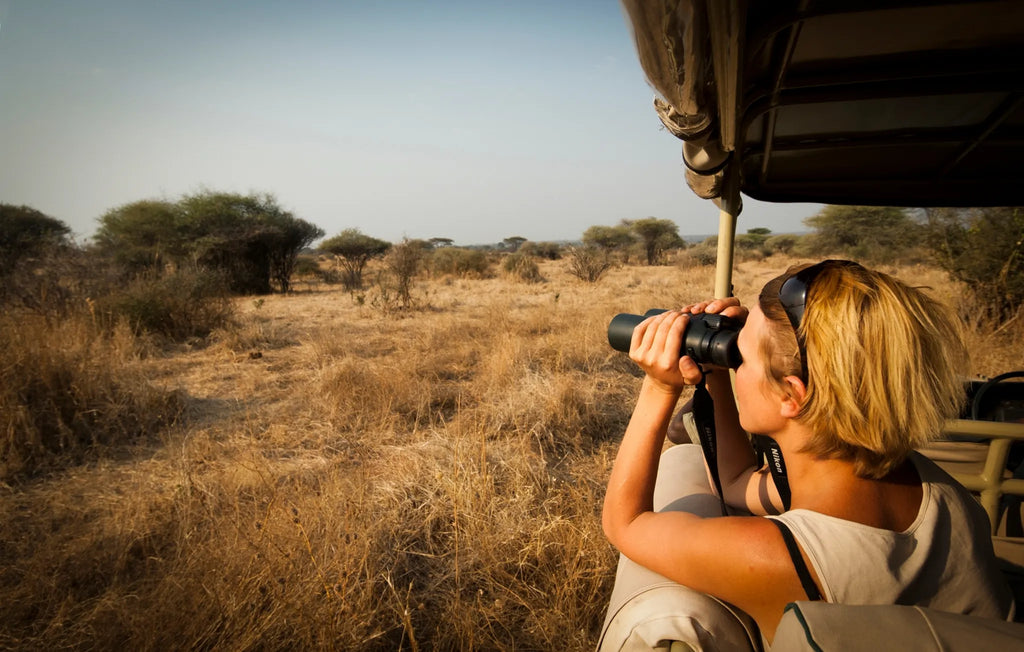 Game drives at Kigelia Ruaha, Ruaha National Park, Tanzania.