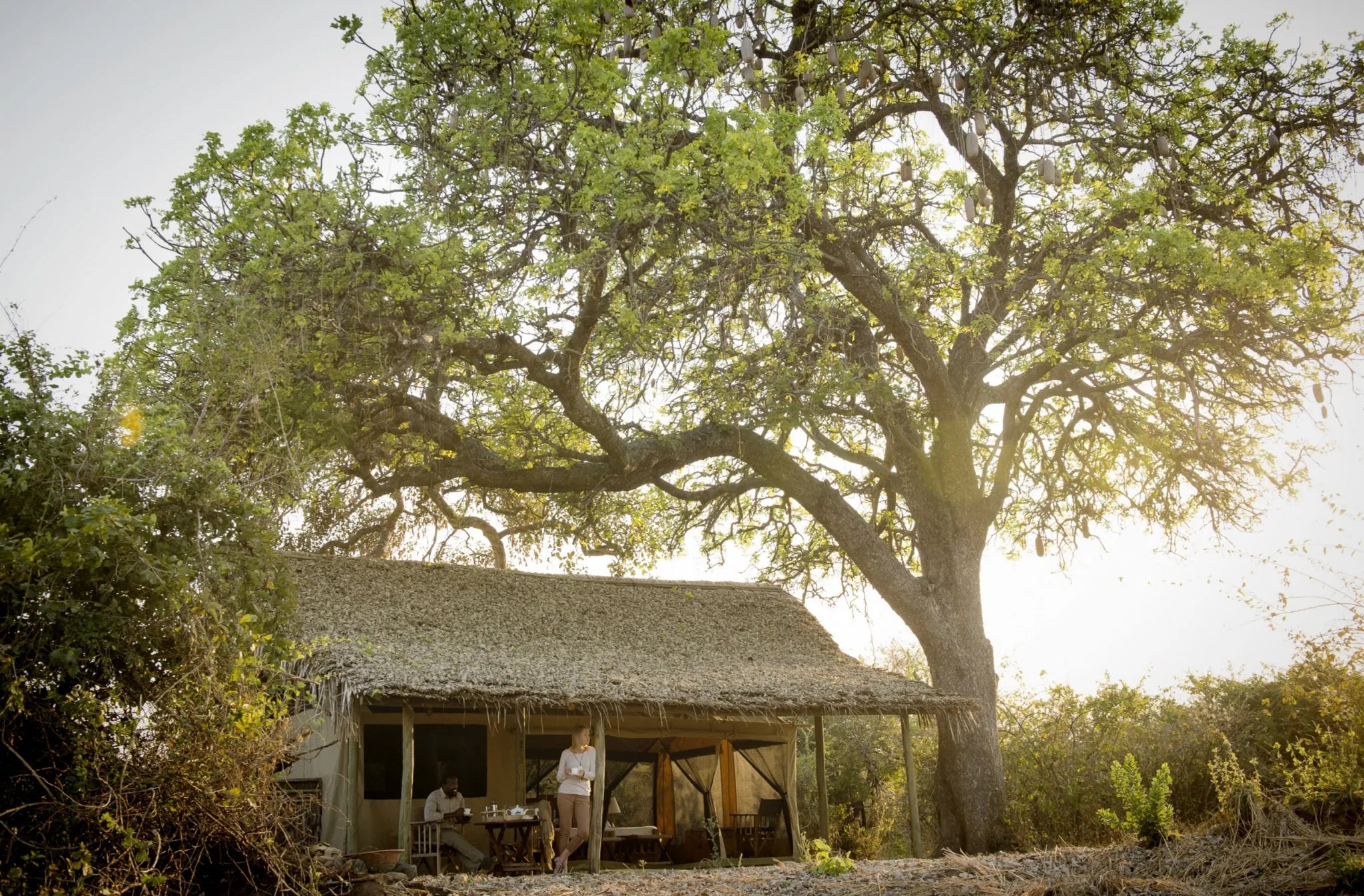 Room at Kigelia Ruaha, Ruaha National Park, Tanzania.