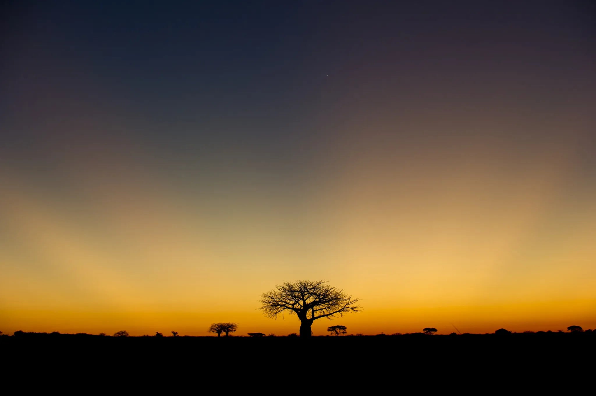 Sunset at Kigelia Ruaha, Ruaha National Park, Tanzania.