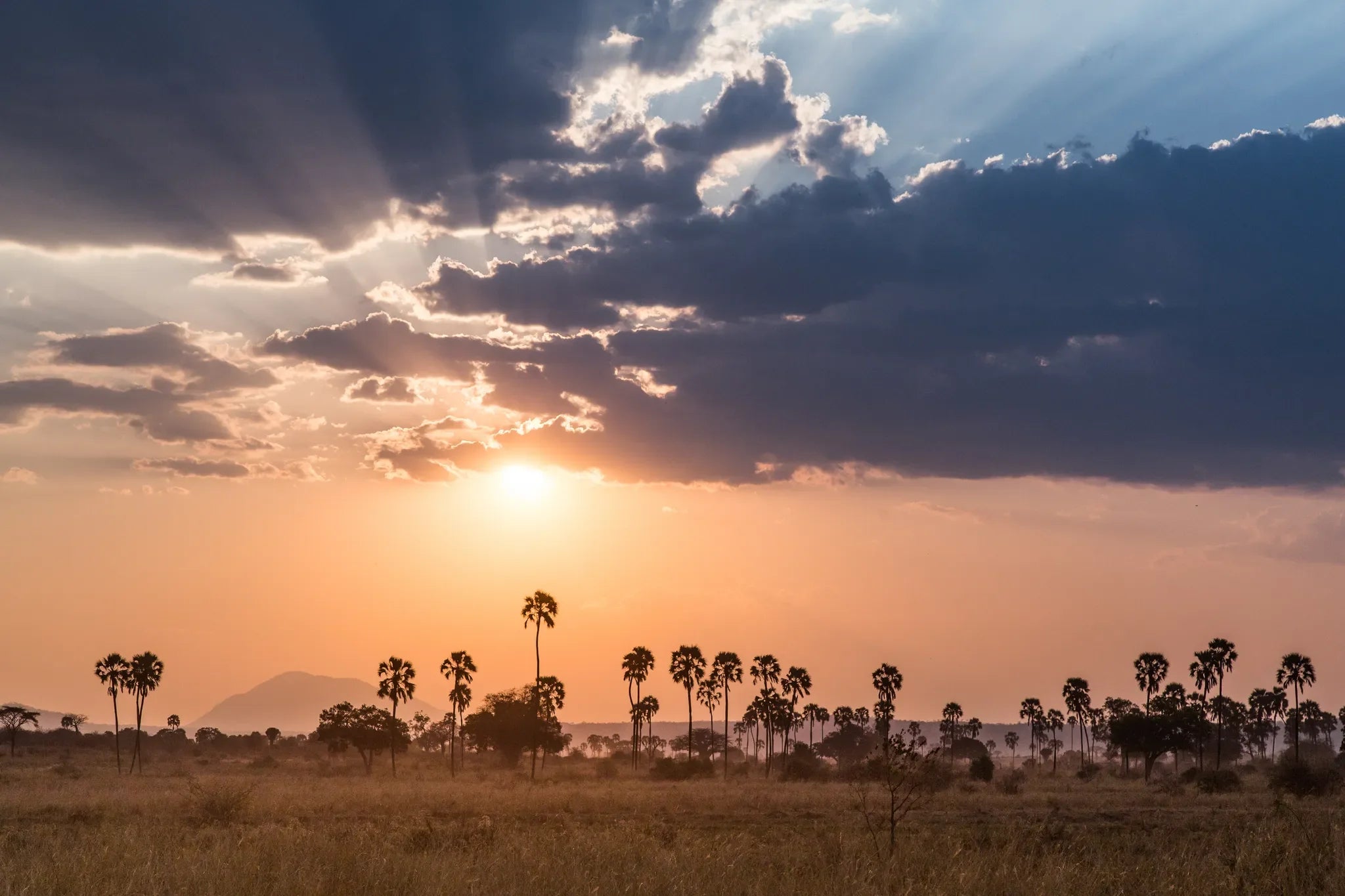 Sunset in Ruaha is tough to beat at Kigelia Ruaha, Ruaha National Park, Tanzania.