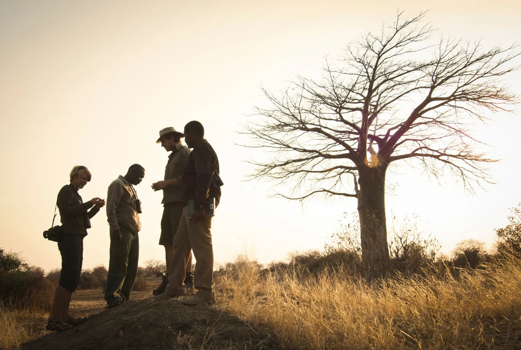 Walking safari at Kigelia Ruaha, Ruaha National Park, Tanzania.