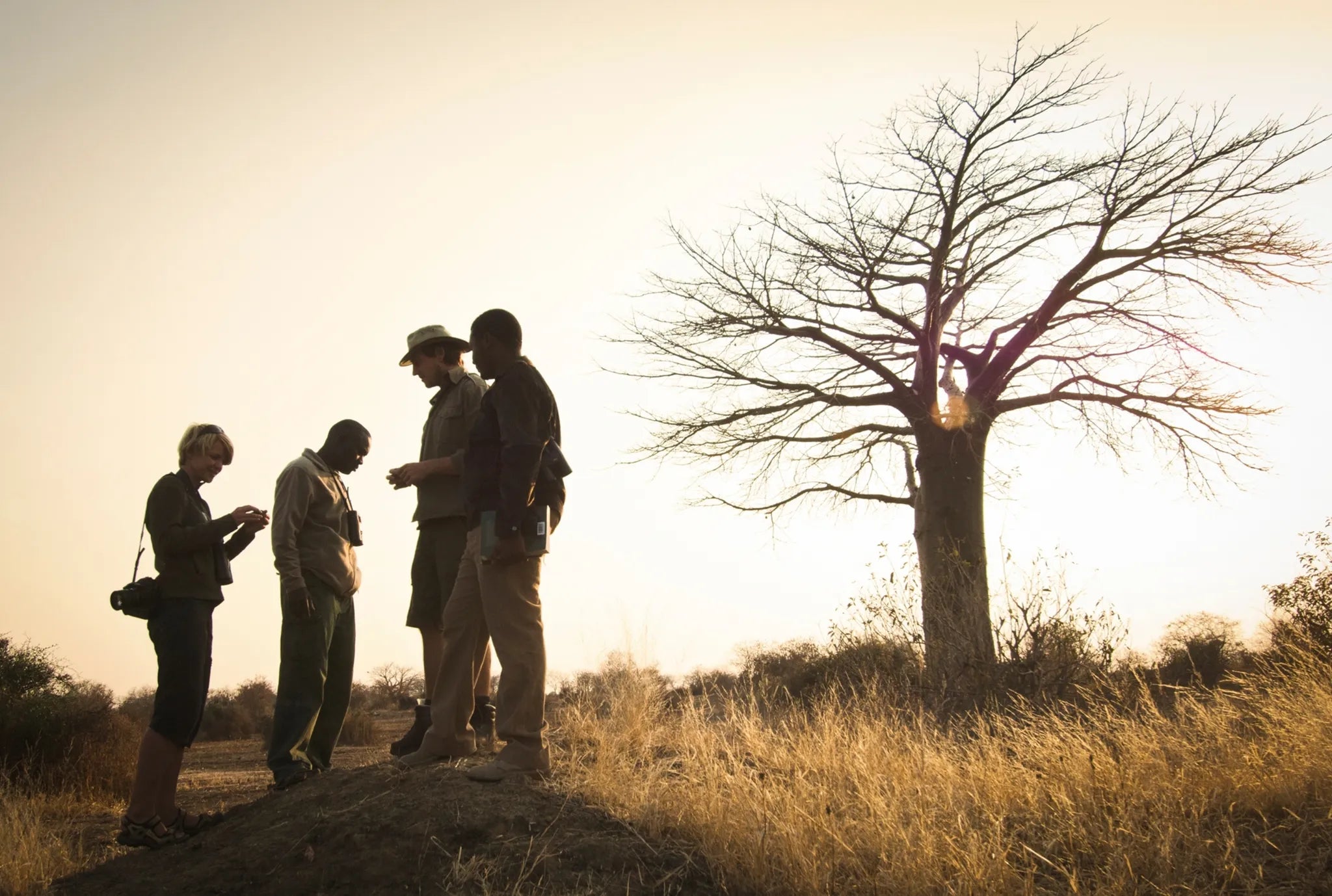 Walking safari at Kigelia Ruaha, Ruaha National Park, Tanzania.