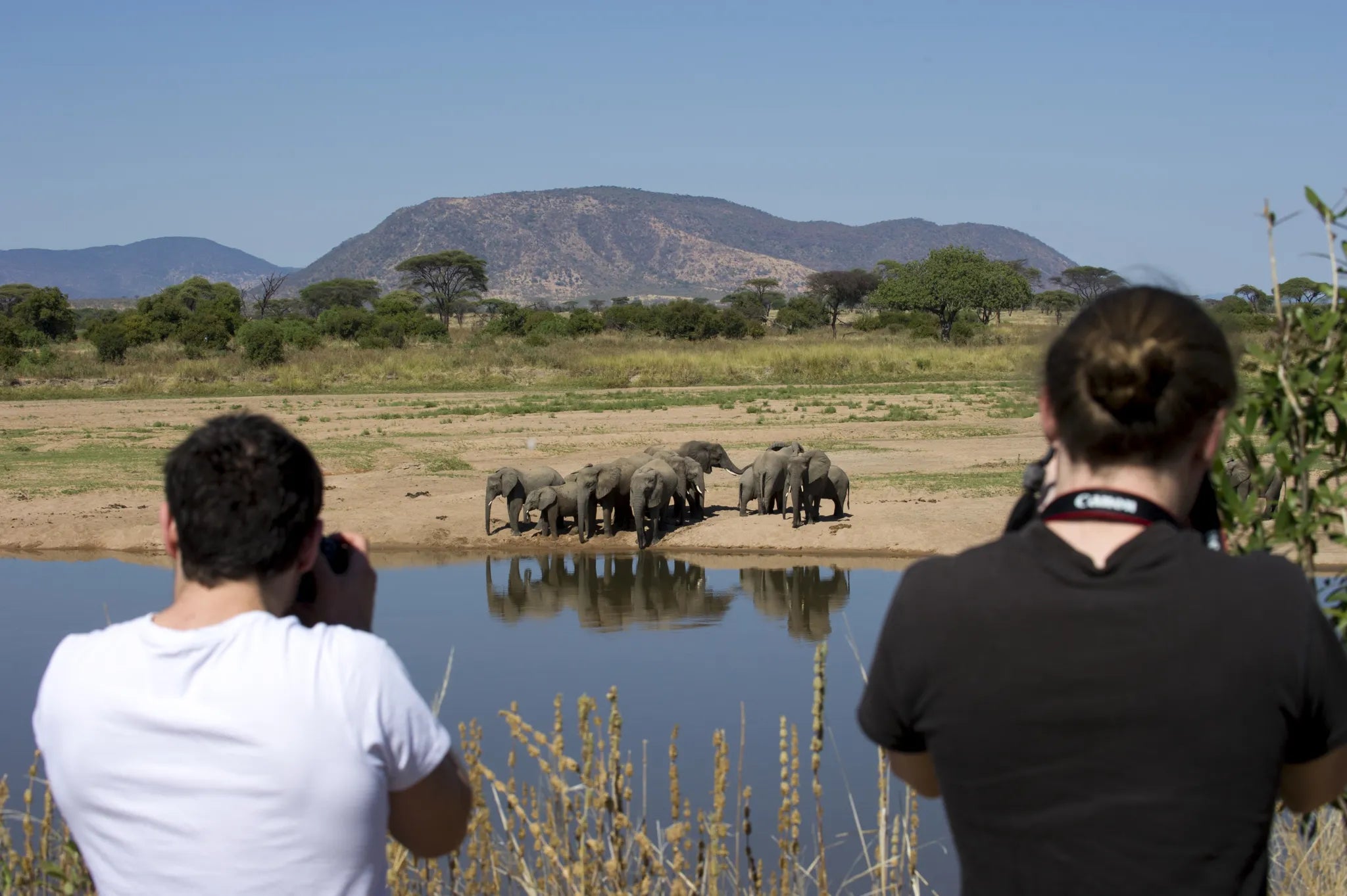 Walking safari at Kigelia Ruaha, Ruaha National Park, Tanzania.