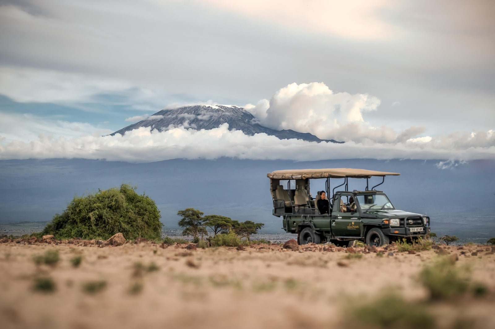 Game Drive