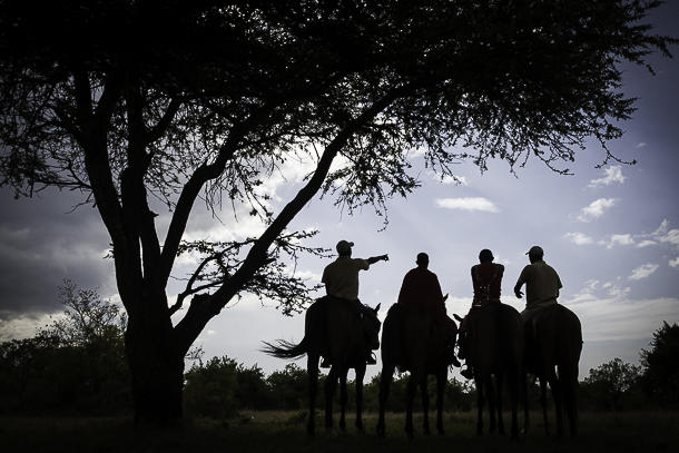 Horse riding safari  gallery image 6
