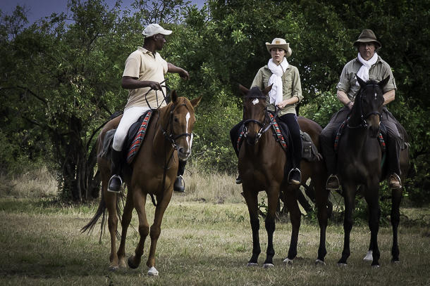 Horse riding safari  gallery image 9