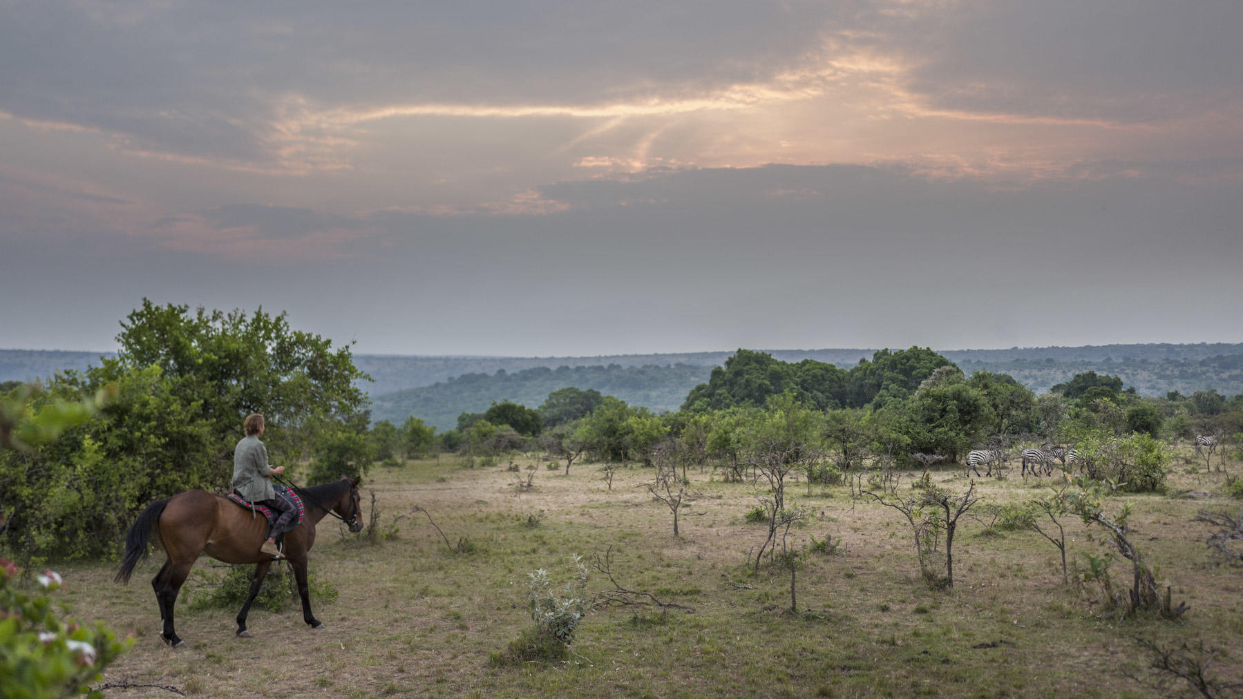 Horse riding safari  gallery image 17