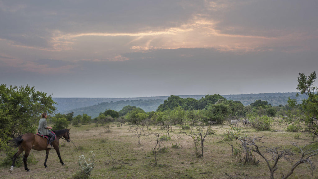 Horse riding safari  gallery image 18