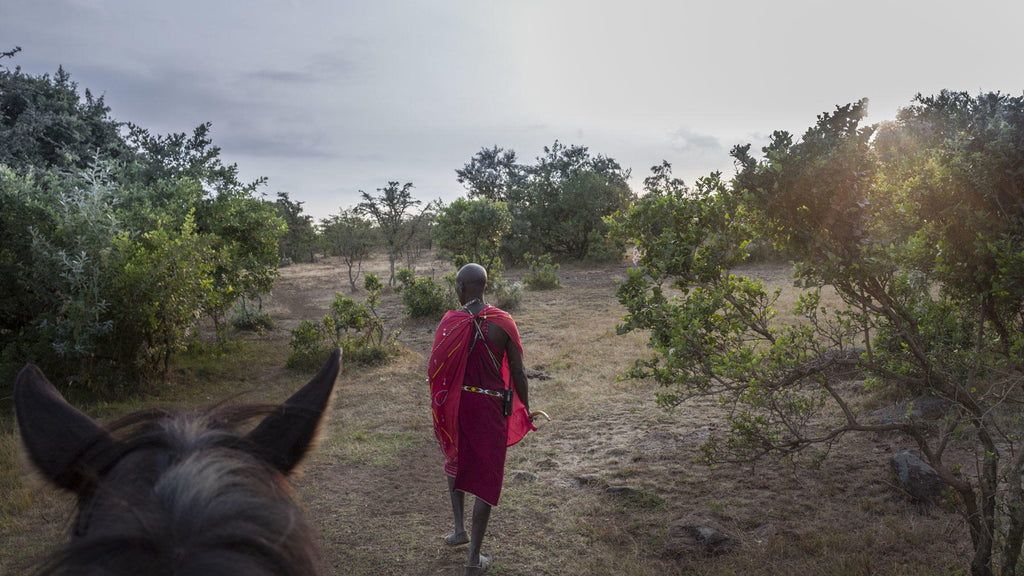 Horse riding safari  gallery image 23