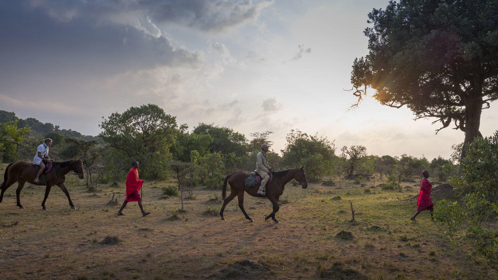 Horse riding safari  gallery image 24