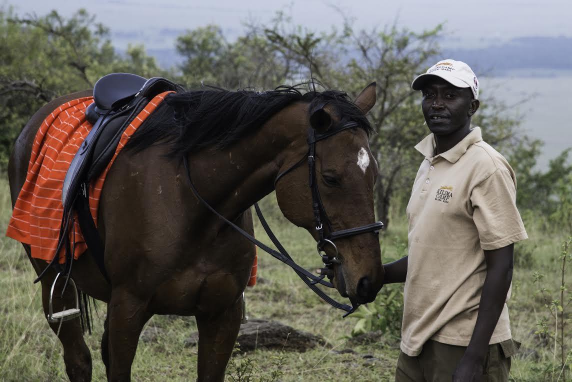 Horse riding safari  gallery image 2