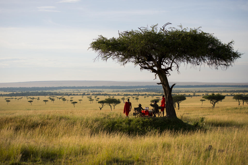 Game drive safari  gallery image 3