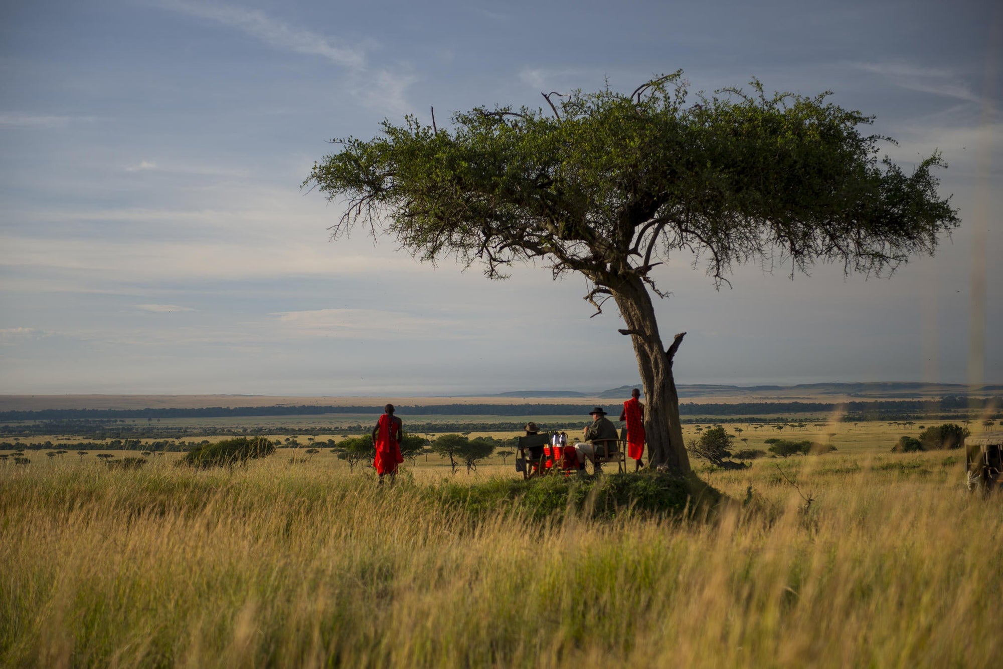 Game drive safari  gallery image 2