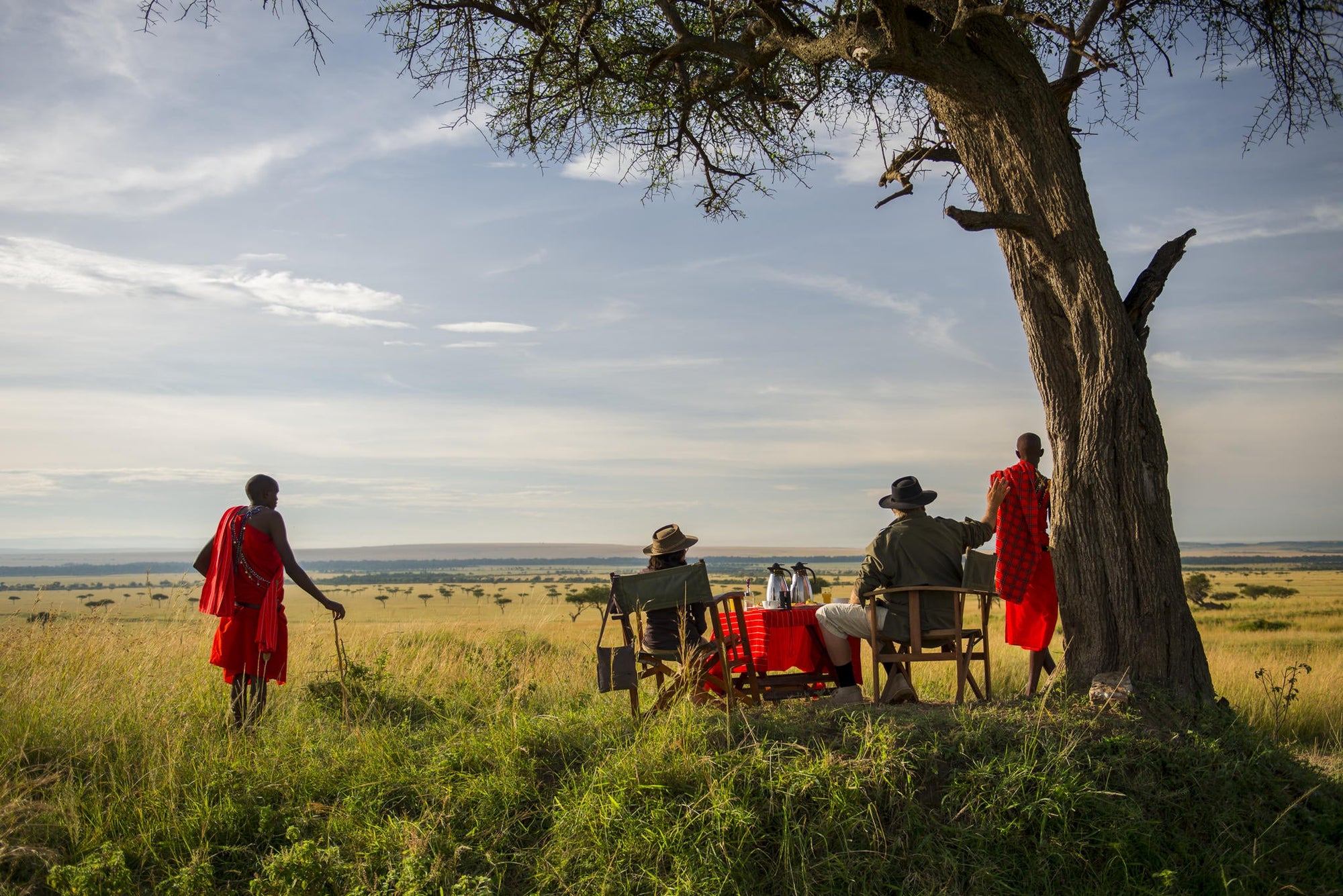 Game drive safari  gallery image 4